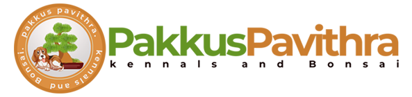 pakkus pavithra